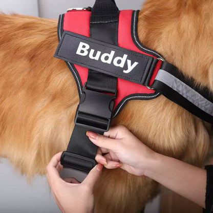 Pettorina Regolabile Personalizzabile per Cani