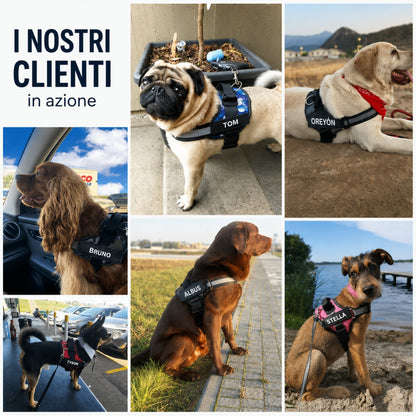 Pettorina Regolabile Personalizzabile per Cani