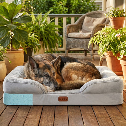 SilvyPet™ Cuccia Ortopedica Premium per Cani